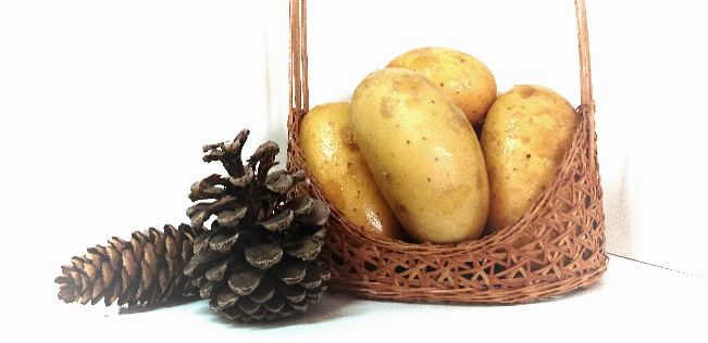 German_Delicacy_Potato_Sissi_002