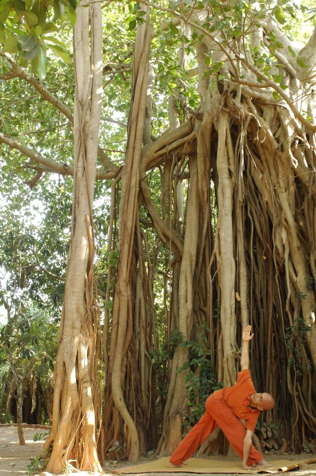 Swaswara Yoga Resort big 1swa 087