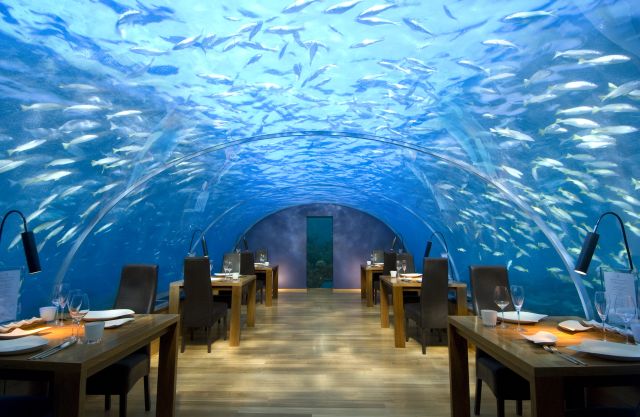 Conrad Maldives Ithaa UnderWaterRestaurant
