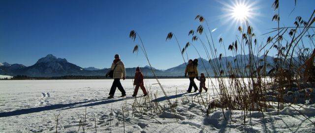 Winter weiß-blau: Wanderer am Hopfensee