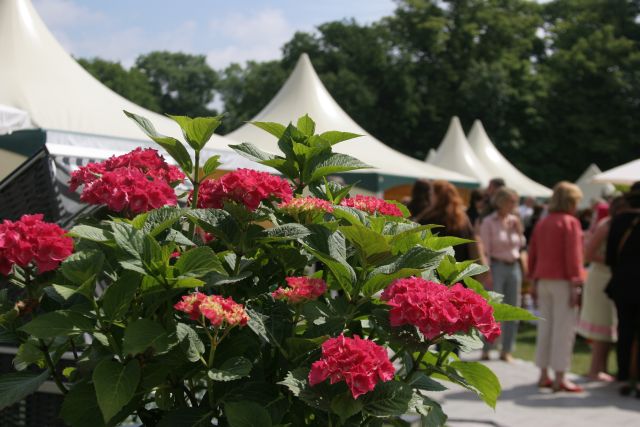 Home Garden Muenchen
