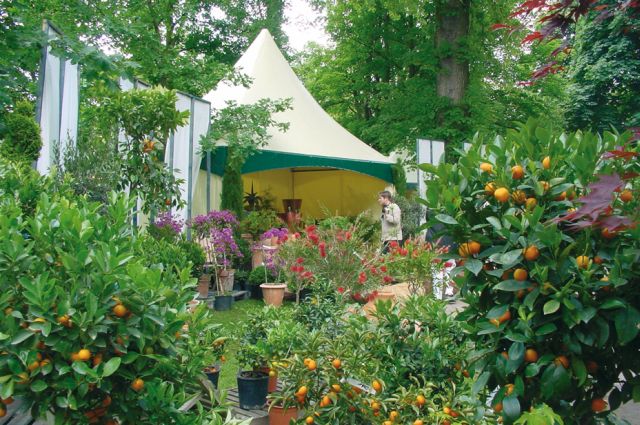 Home Garden Muenchen