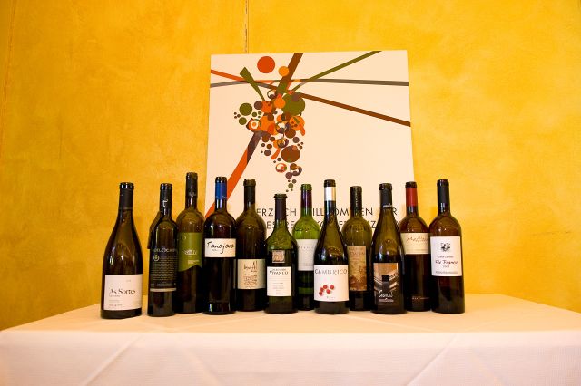 ICEX Verkostungsweine Spanien