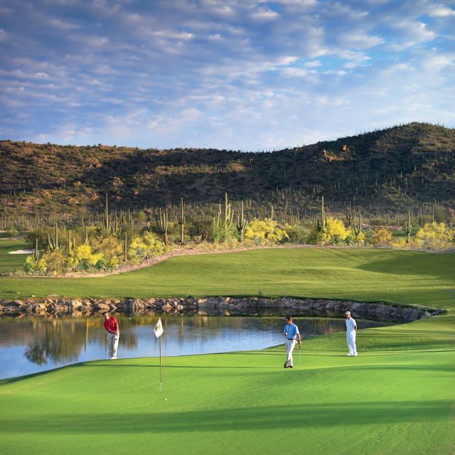 Ritz Carlton dovemountain caddygolf