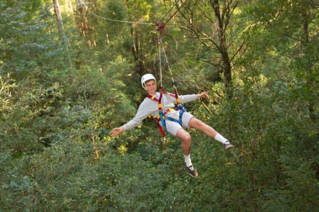 Victoria 1 Otway Fly Tree Top Walk