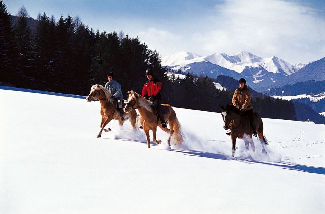 Winter-Ausritt in Tirol