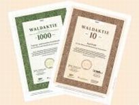 Waldaktie Mecklenburg Vorpommern
