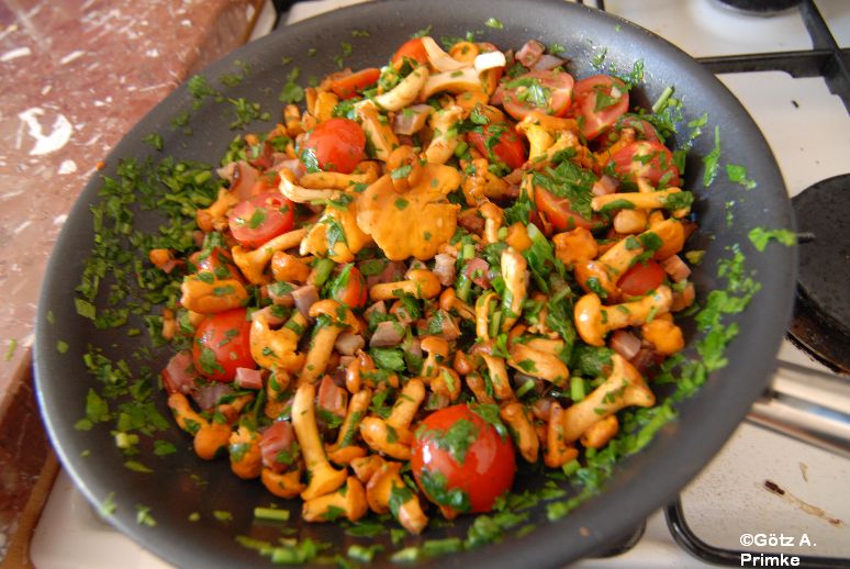 Pfifferlingspfanne: Reherl mit Speck und Tomaten 6 Pfifferlingspfanne: Reherl mit Speck und Tomaten