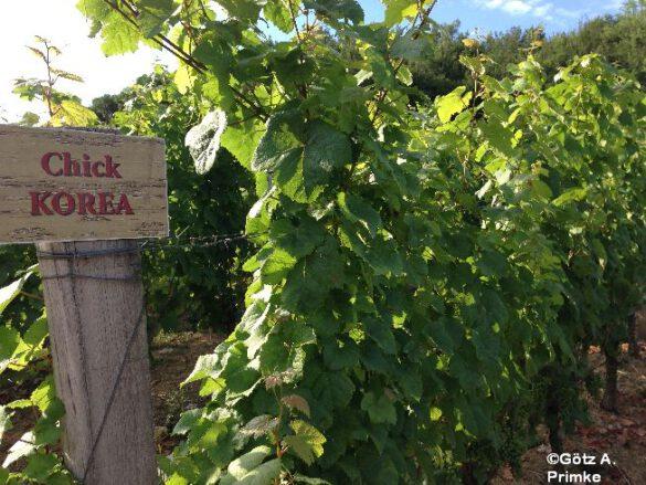 Weinlieder