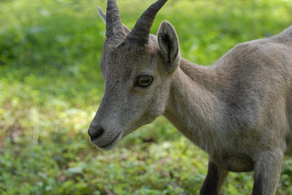 Ausflugsziele Wörthersee: Die schönsten Erlebnisse rund um den See 19 Ausflugsziele Wörthersee