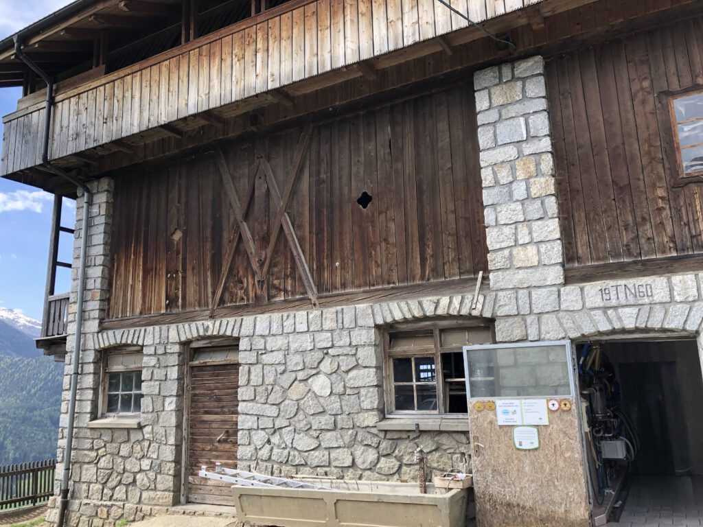 Urlaub auf dem Bauernhof im Gsieser Tal: Unser Erlebnis auf dem Außermahrhof mit dem "Roten Hahn" 102 Urlaub auf dem Bauernhof im Gsieser Tal