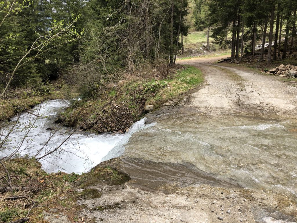 Urlaub auf dem Bauernhof im Gsieser Tal: Unser Erlebnis auf dem Außermahrhof mit dem "Roten Hahn" 91 Urlaub auf dem Bauernhof im Gsieser Tal