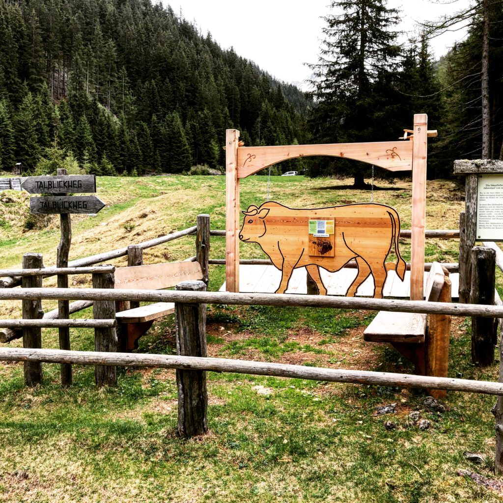 Urlaub auf dem Bauernhof im Gsieser Tal: Unser Erlebnis auf dem Außermahrhof mit dem "Roten Hahn" 88 Urlaub auf dem Bauernhof im Gsieser Tal