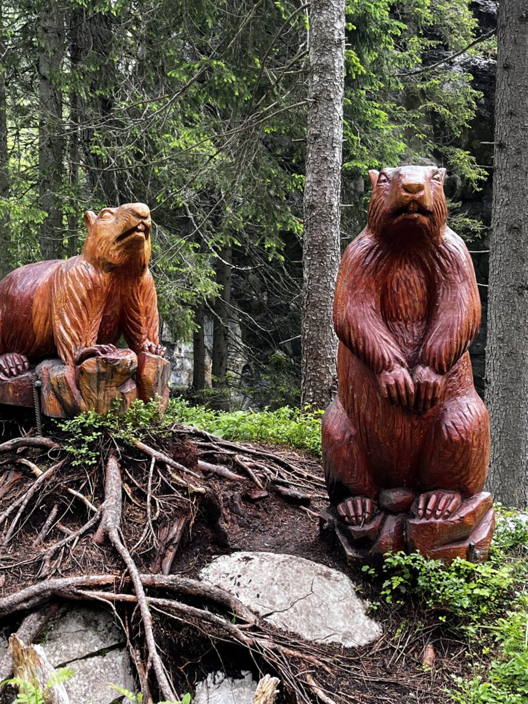 Genuss hoch 3: Wandern, Schlemmen, Staunen – das Mountain Food Festival in Imst 48 Genuss hoch 3