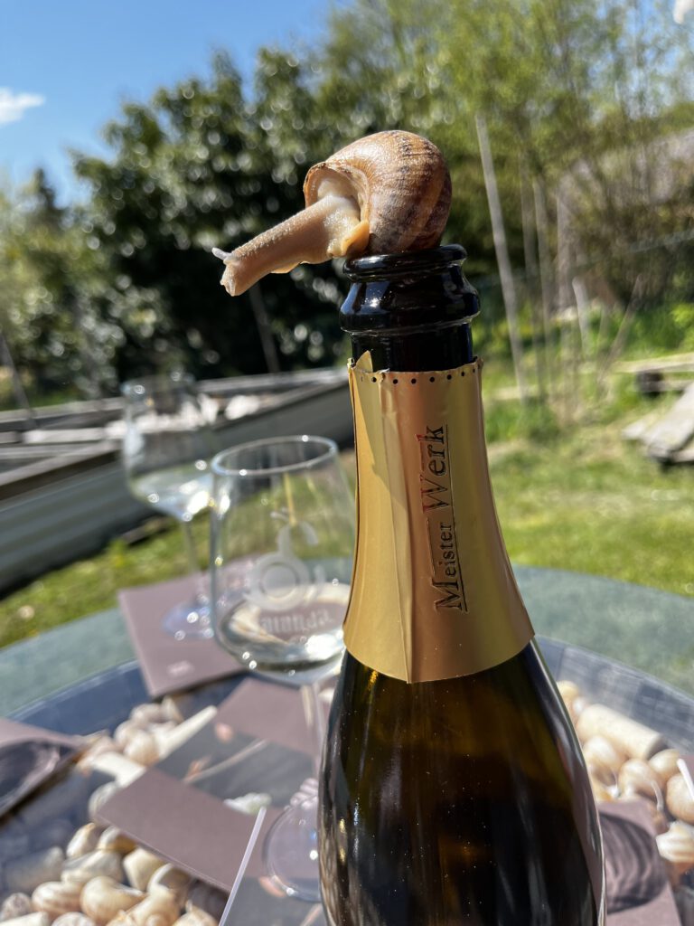 Feinschneckerei Salanda