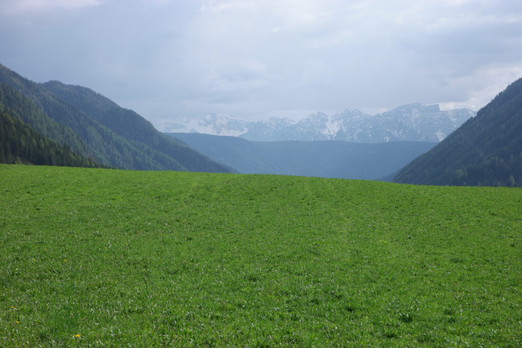 Urlaub auf dem Bauernhof im Gsieser Tal: Unser Erlebnis auf dem Außermahrhof mit dem "Roten Hahn" 86 Urlaub auf dem Bauernhof im Gsieser Tal - Antholzer See