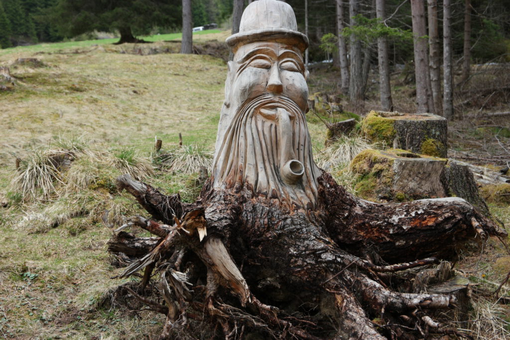 Urlaub auf dem Bauernhof im Gsieser Tal: Unser Erlebnis auf dem Außermahrhof mit dem "Roten Hahn" 87 Urlaub auf dem Bauernhof im Gsieser Tal