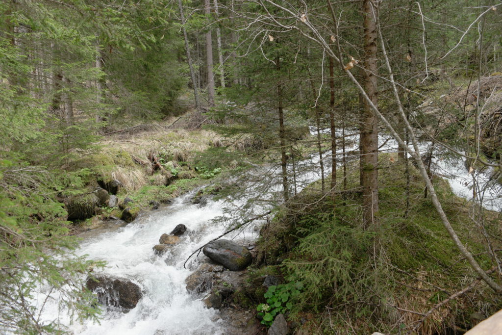 Urlaub auf dem Bauernhof im Gsieser Tal: Unser Erlebnis auf dem Außermahrhof mit dem "Roten Hahn" 89 Urlaub auf dem Bauernhof im Gsieser Tal