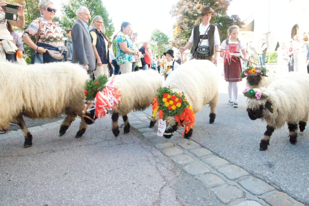 Wandern im Kaiserwinkl