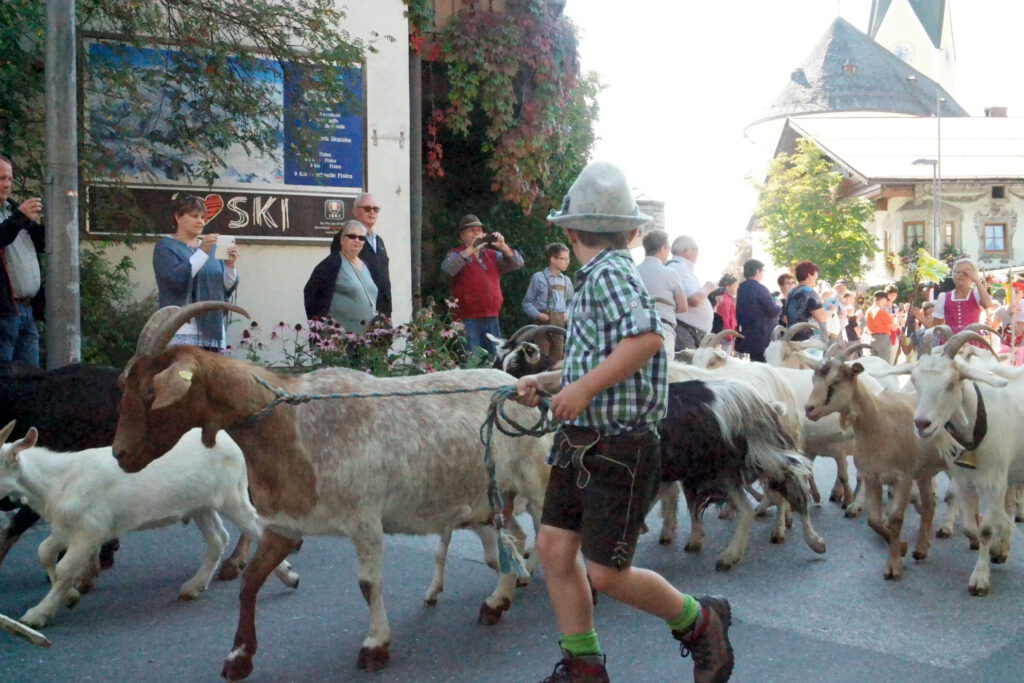 Wandern im Kaiserwinkl