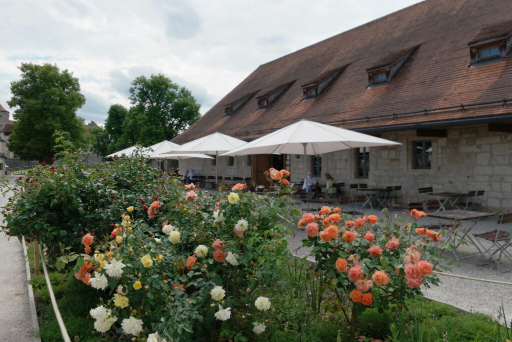 10 Entdeckungen im Entdeckerviertel: Urlaub zwischen Inn, Moor und Motoren 8
