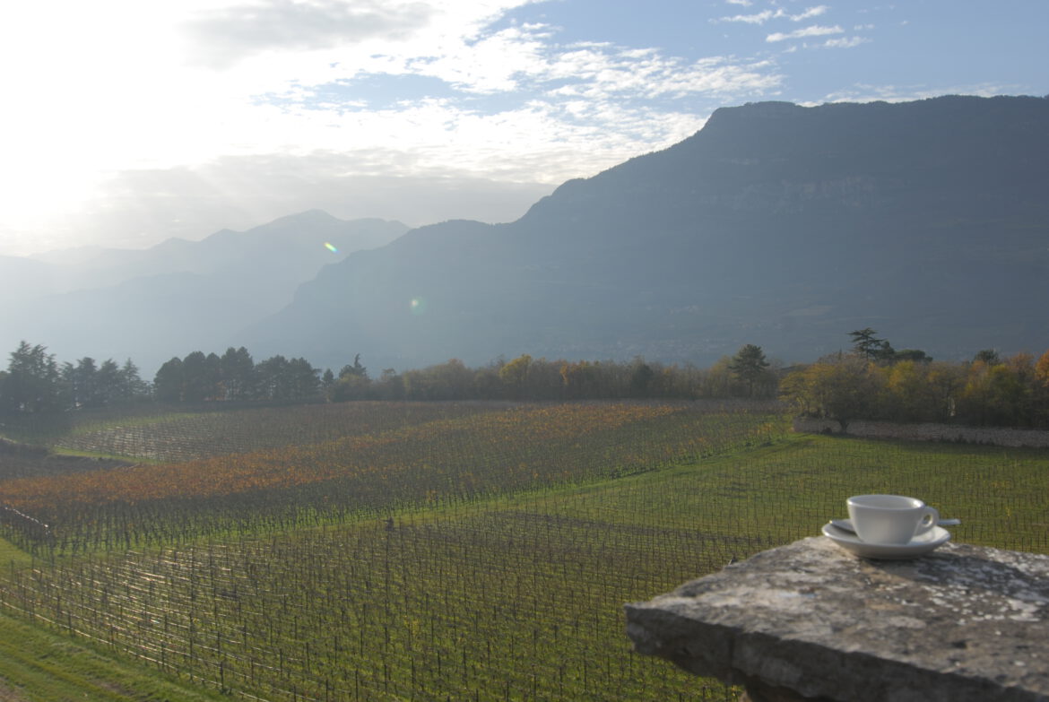 Trentino TrentoDOC