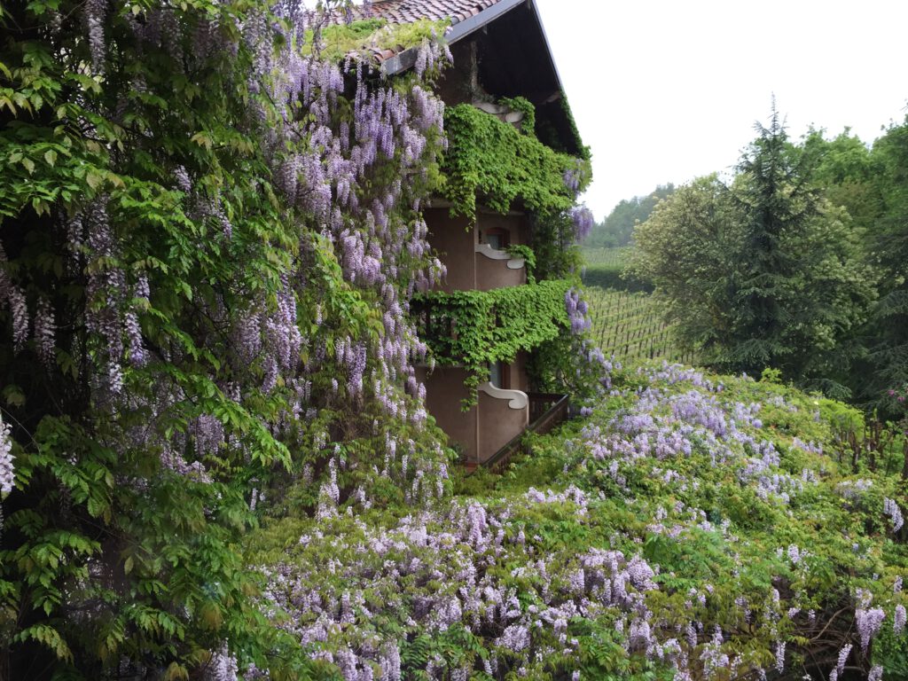 Franciacorta