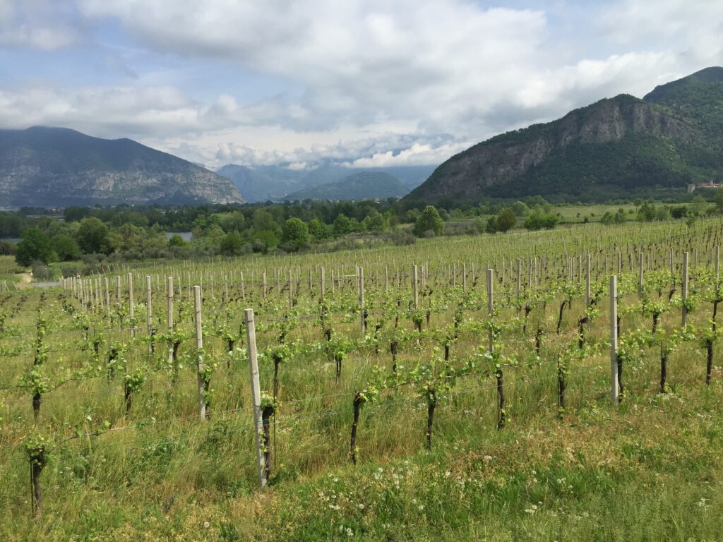 Franciacorta: 3 Tage zwischen drei Kellereien, einem Kloster und Käserei 7 Franciacorta
