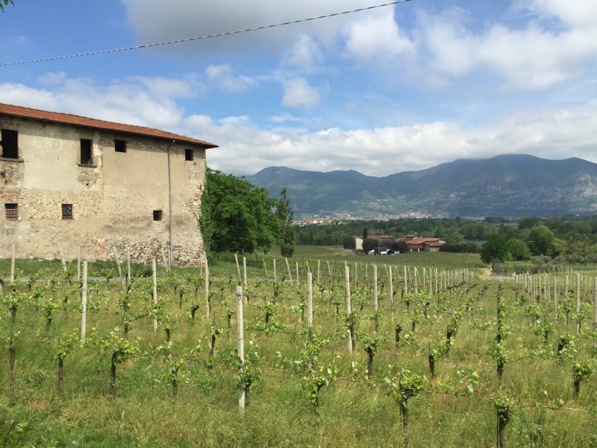Franciacorta
