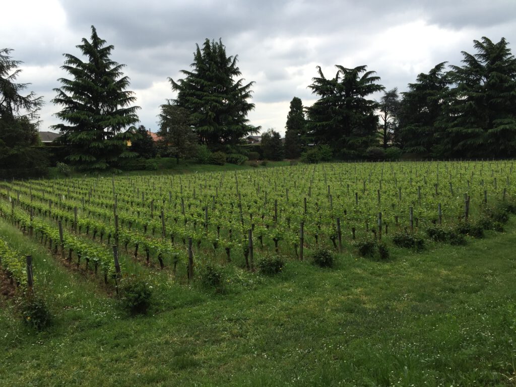 Franciacorta