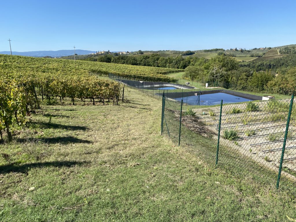 Ruffino Greve in Chianti