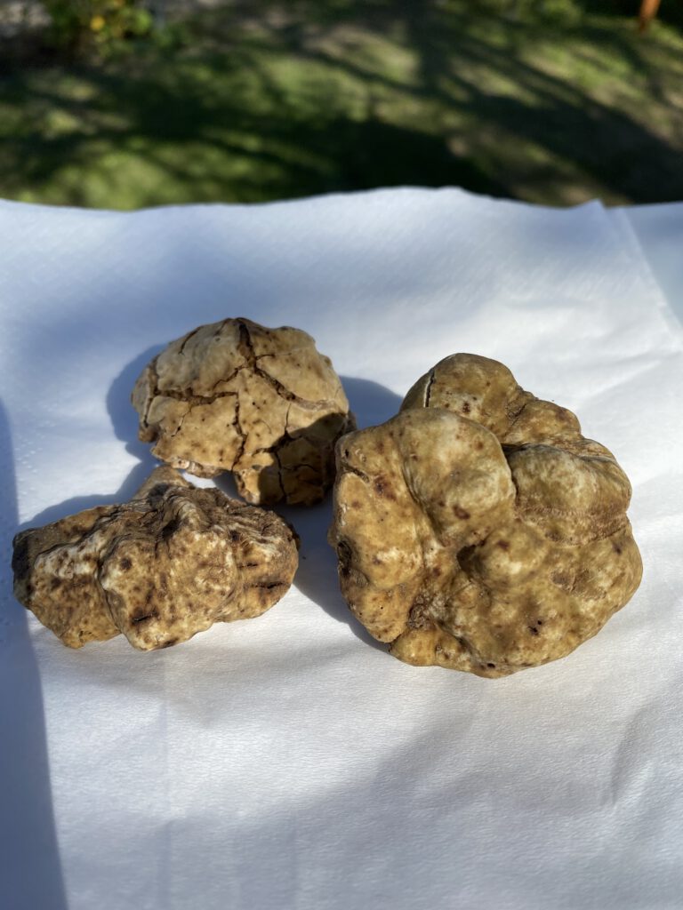 Ruffino Chianti Poggio a Casciano