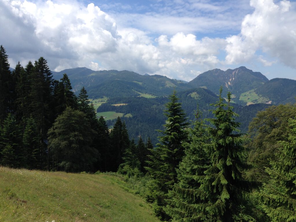 Wildschönau