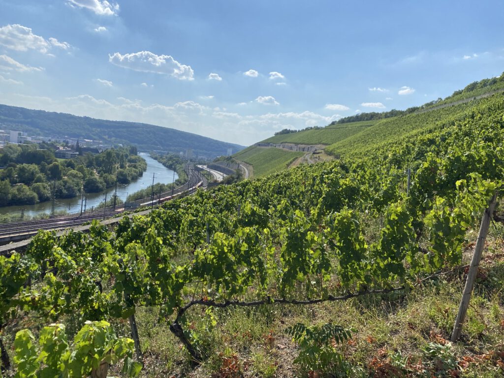 Im Boden steckt die Würze: Warum deutsche Weine so unverwechselbar sind 8 Würzburger Stein, Franken, Weinlage, Steilhang,
