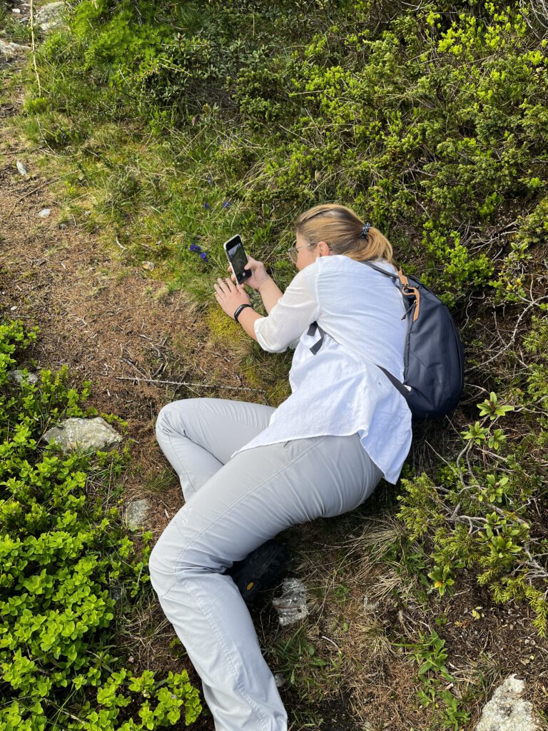 10 Tipps für perfekte Urlaubsfotos: Zwischen Ästhetik, Genuss und Etikette 14 10 Tipps für perfekte Urlaubsfotos: Zwischen Ästhetik, Genuss und Etikette 8