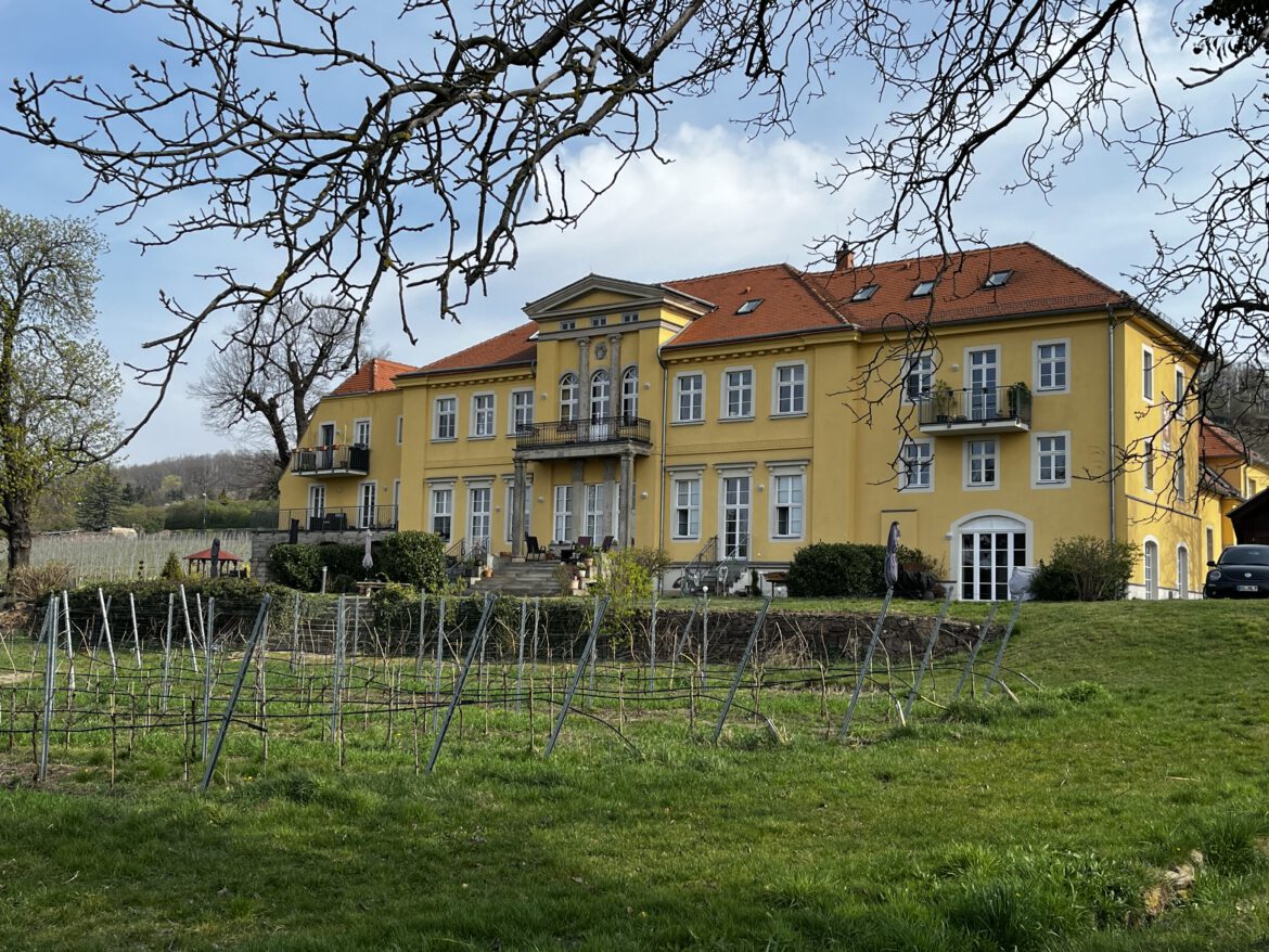 Deutsche Weine: Schloss Paulsberg Radebeul mit Weinberg