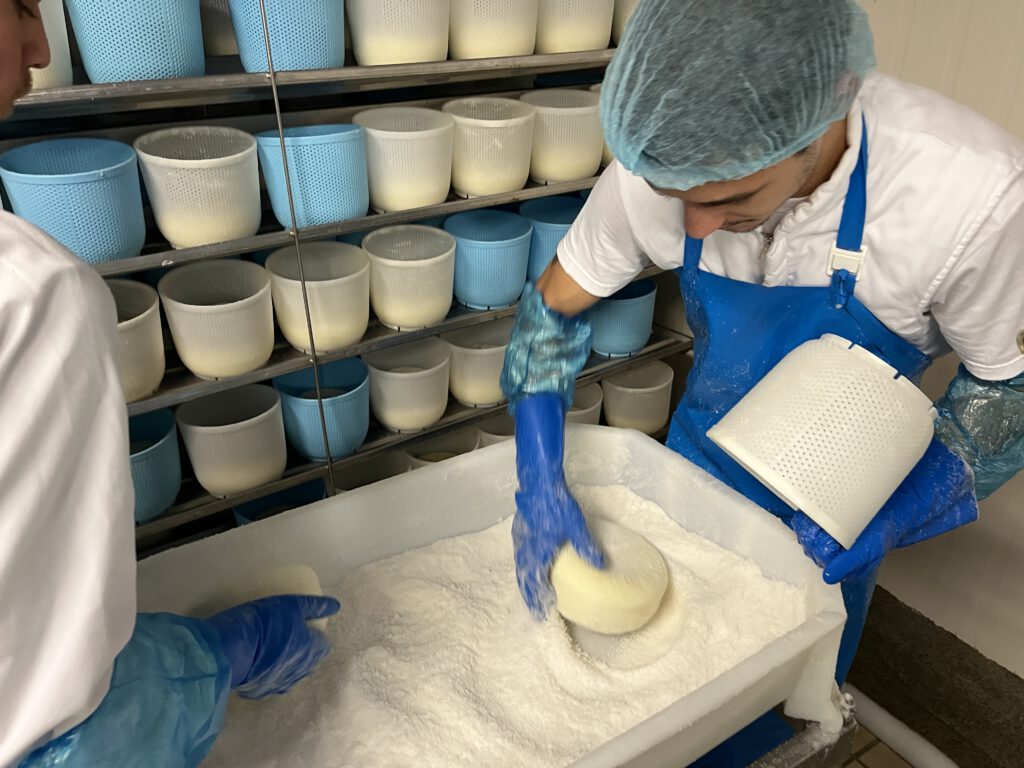 Echter Pecorino Toscano DOP: Zu Besuch in der Käserei in Pienza 8 Pecorino Toscano DOP