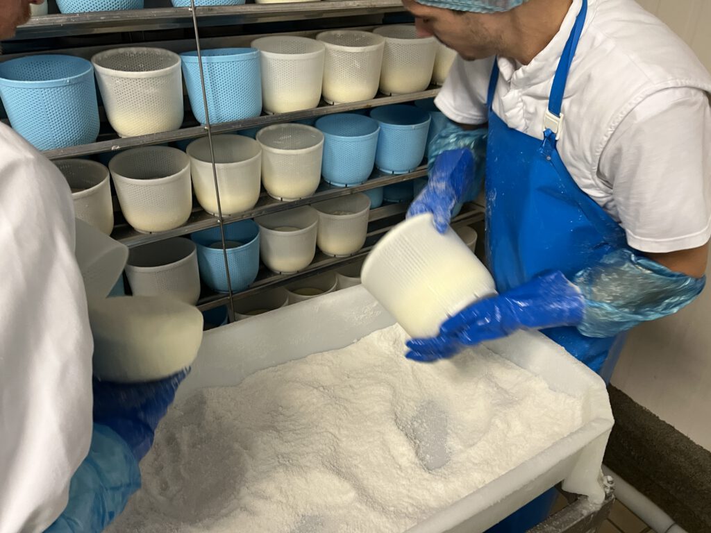 Echter Pecorino Toscano DOP: Zu Besuch in der Käserei in Pienza 23 Pecorino Toscano DOP
