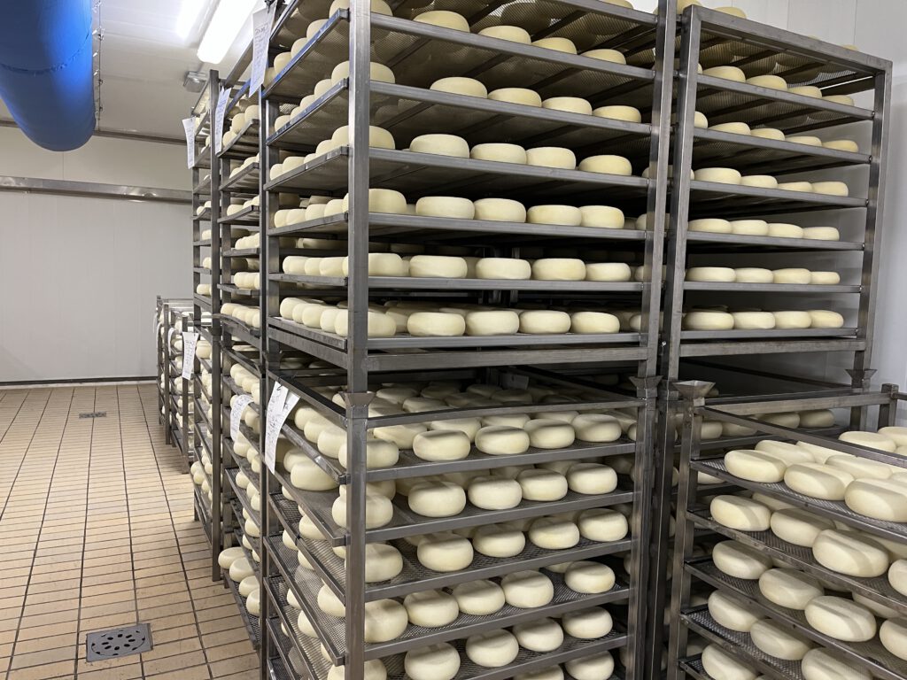 Echter Pecorino Toscano DOP: Zu Besuch in der Käserei in Pienza 19 Pecorino Toscano DOP