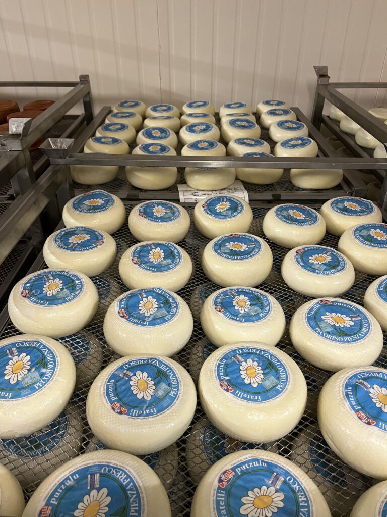 Echter Pecorino Toscano DOP: Zu Besuch in der Käserei in Pienza 17 Pecorino Toscano DOP