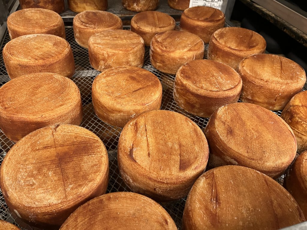 Echter Pecorino Toscano DOP: Zu Besuch in der Käserei in Pienza 15 Pecorino Toscano DOP