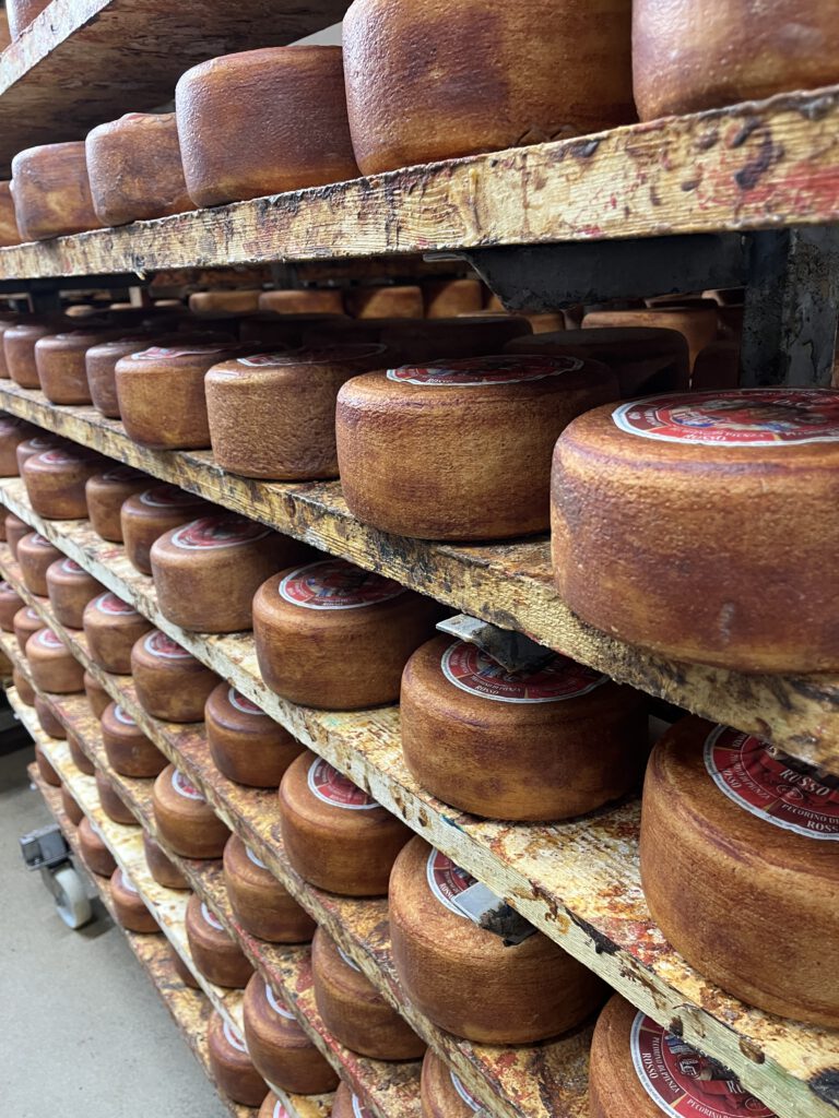 Echter Pecorino Toscano DOP: Zu Besuch in der Käserei in Pienza 13 Pecorino Toscano DOP