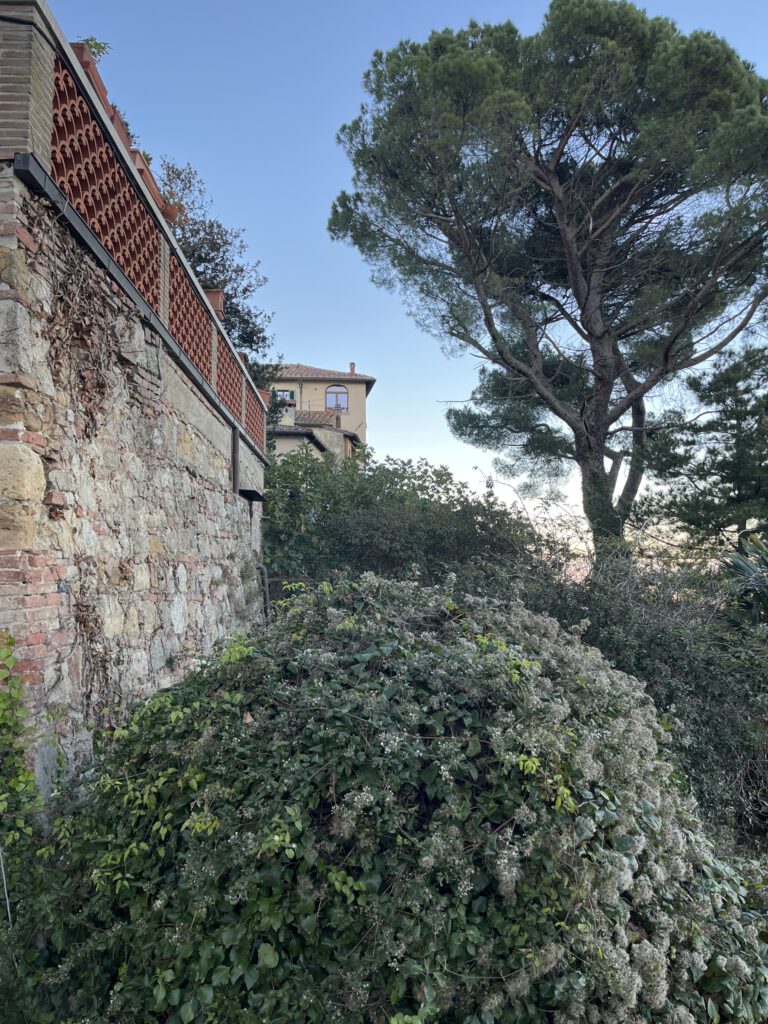Montepulciano: Zwischen Vino Nobile, mittelalterlichen Gassen und den schönsten Ausblicken der Toskana 7