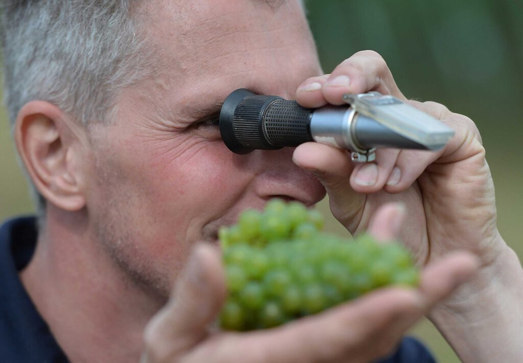 Wein und Essen kombinieren, (c) Deutsches Weininstitut DWI