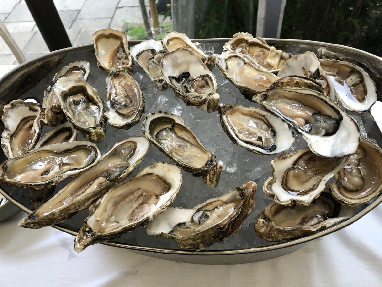Restaurants in München: Shimai
