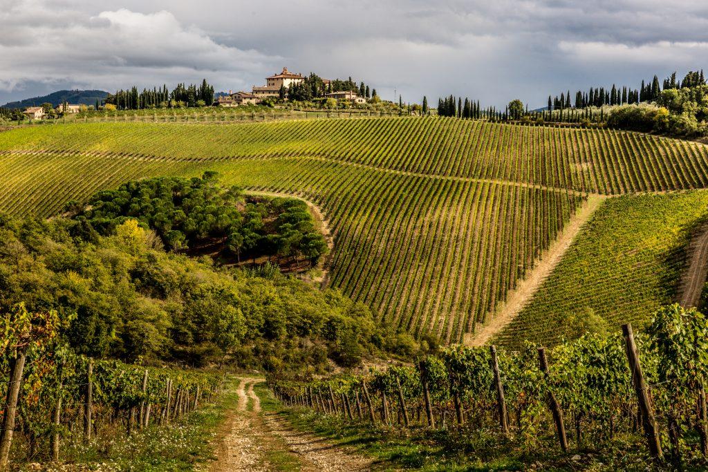 Tenuta Perano