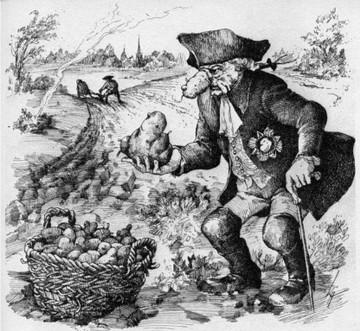 Kartoffel-Bohnen-Pfanne und 116 andere Kartoffelrezepte 1