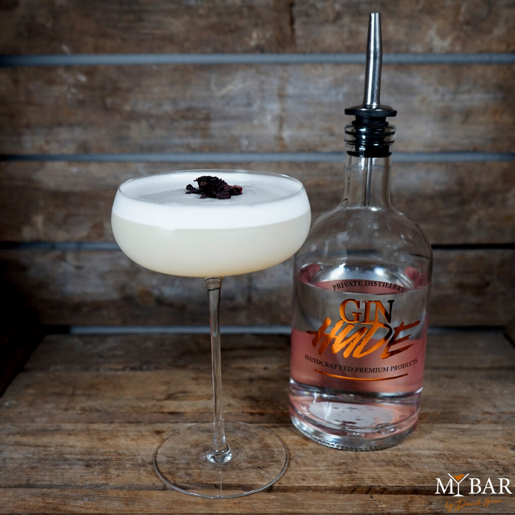 Gin Hude