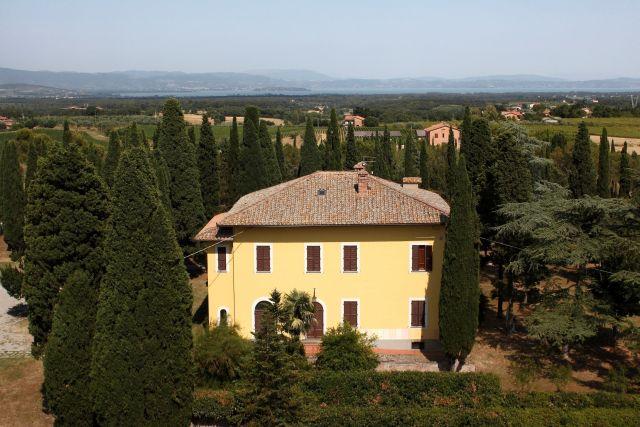 Tenimenti Angelini: Ein Weingut rund um Toskanas Trauben 1