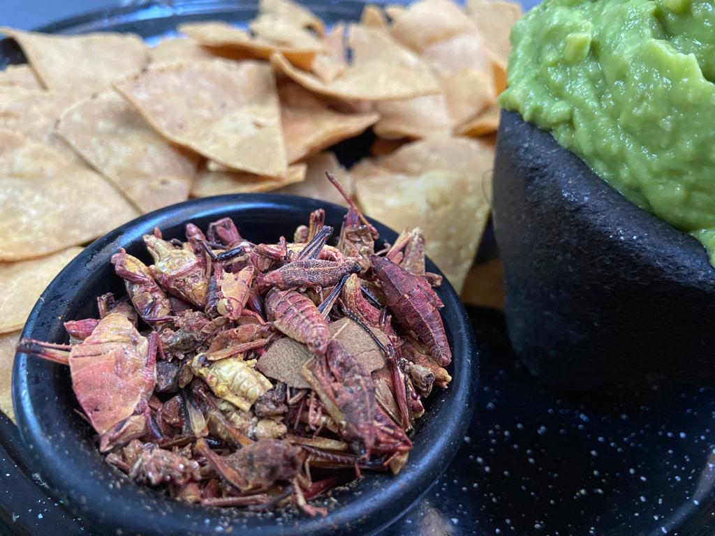 Mexiko: Mole, Grillen und Ameisen 3